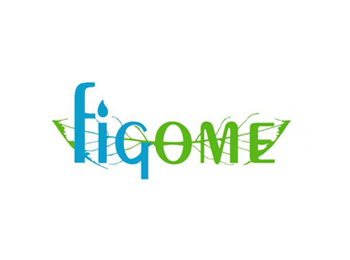 Figome Metal