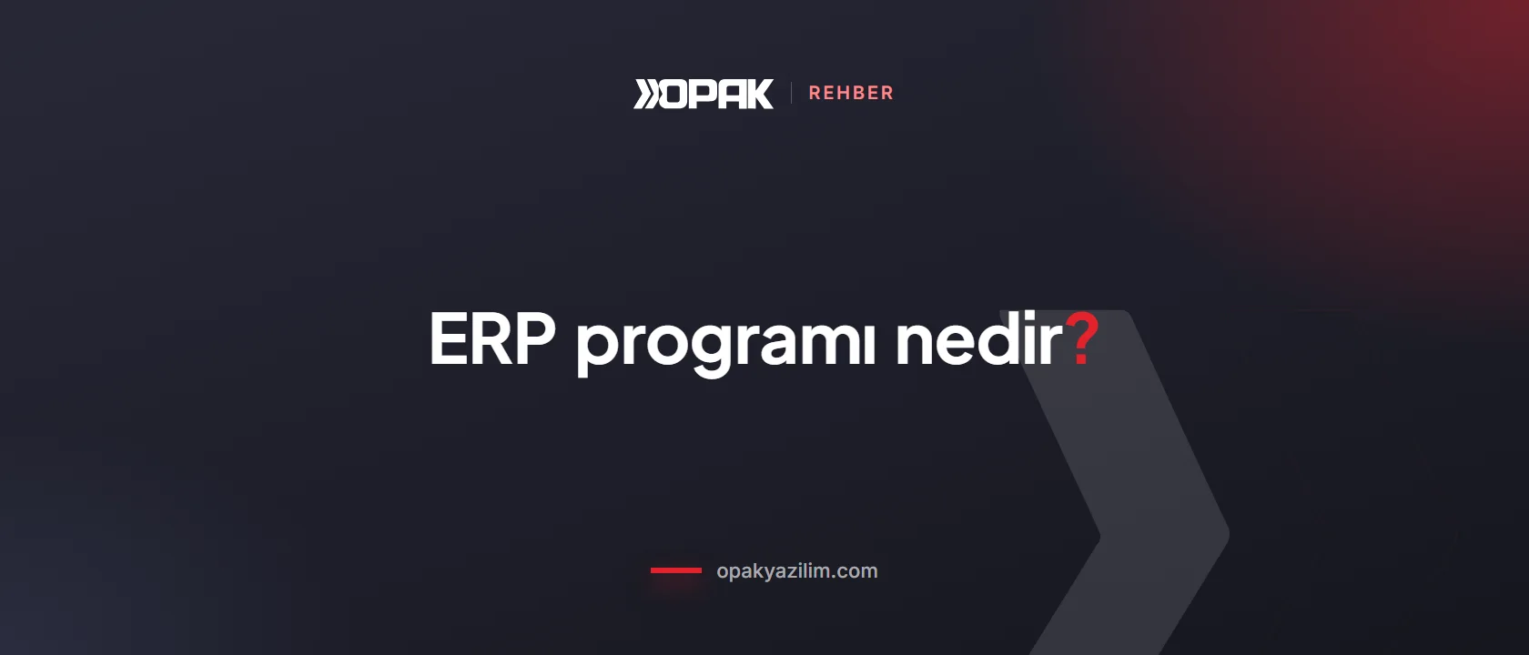 ERP programı seçim rehberi kapak görseli