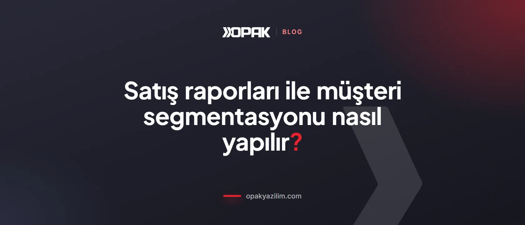 Satış raporları ve müşteri segmentasyonu kapak görseli